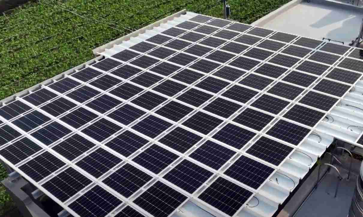 巨星国际SunSteel光电浪板升级双玻结构，，，，以提升机械负载强度及气候耐候度，，，，可广泛运用于多元场域